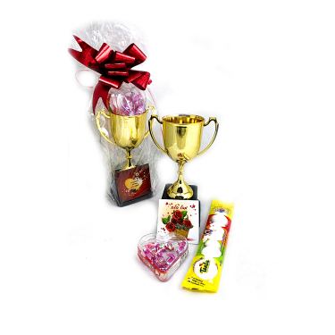 מארז למנצח | חנות מקוונת ALONIT